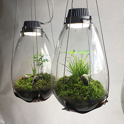 terrarium with led lights