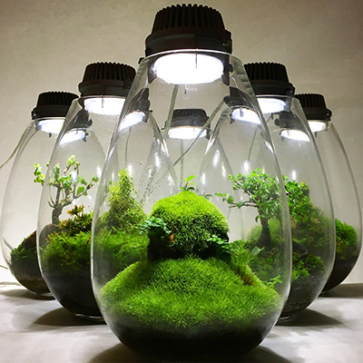 terrarium lighting fixtures